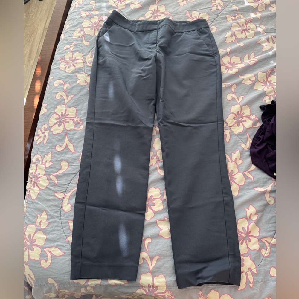 Express Columnist Ankle Blue Slacks Size 10